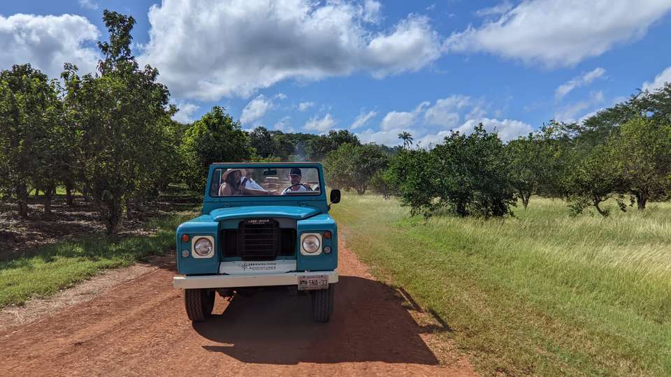 Mexico's Yucatán Adventure - Exodus Adventure Travels - Mexico - Image 17