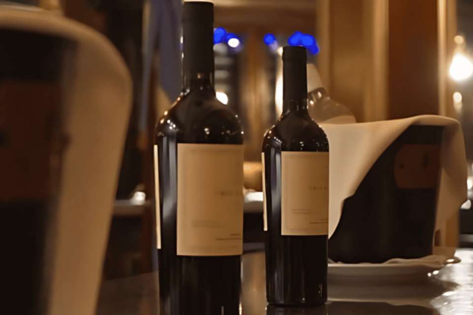 Michelangelo Dinner Show & Wine Tasting - Tangol Tours - Argentina - Image 10