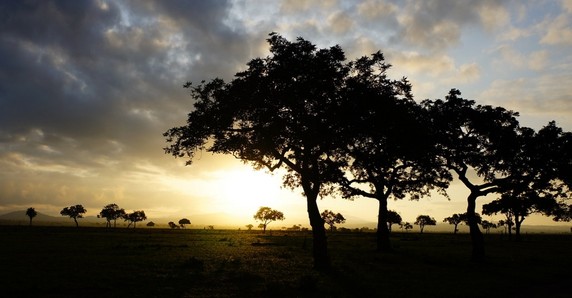 Image 5 of 5