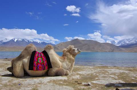 Central Asia Explorer Tour: Moghul Caravan