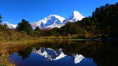 Mohare Danda Trek - 10 Days