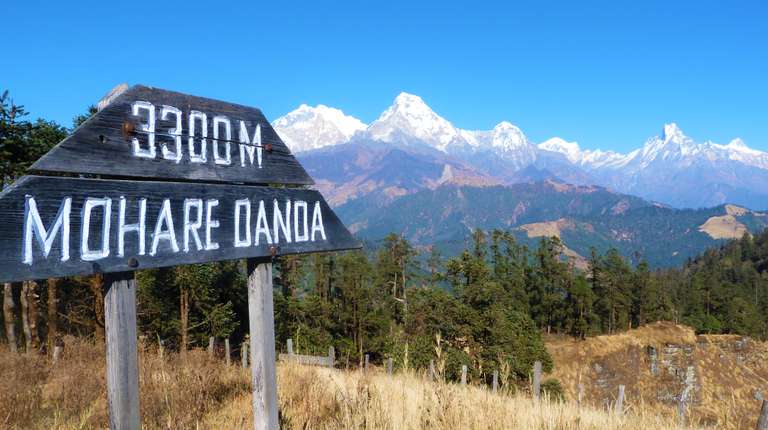 Mohare Danda Trek trip - alternative tour available