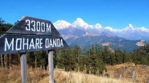 Mohare Danda Trek - December 2026