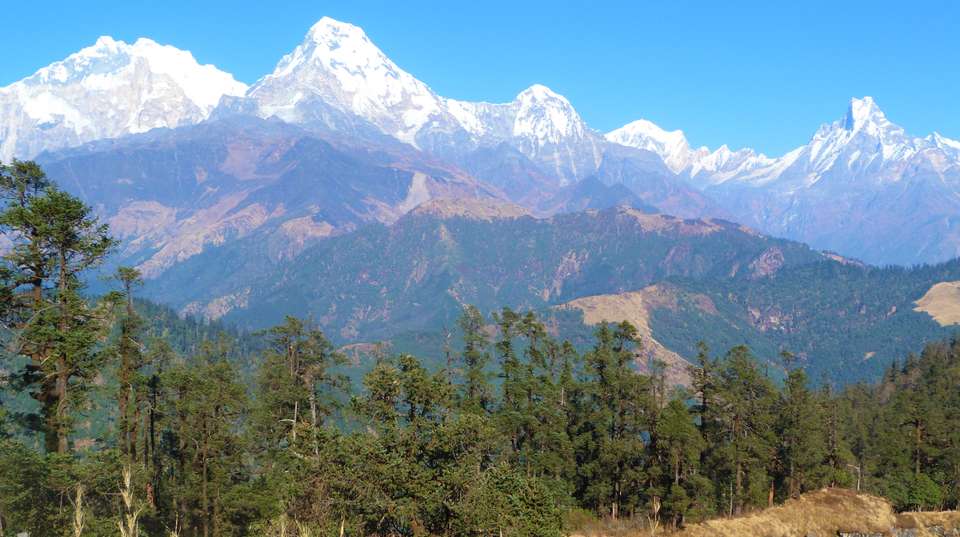 Mohare Danda Trek - Epic Adventures Pvt. Ltd. - Nepal - Image 2