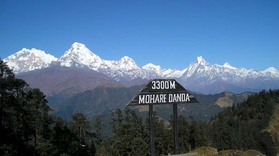 Mohare Danda Trek - Sherpa Expedition And Trekking Pvt. Ltd - Nepal - Image 2
