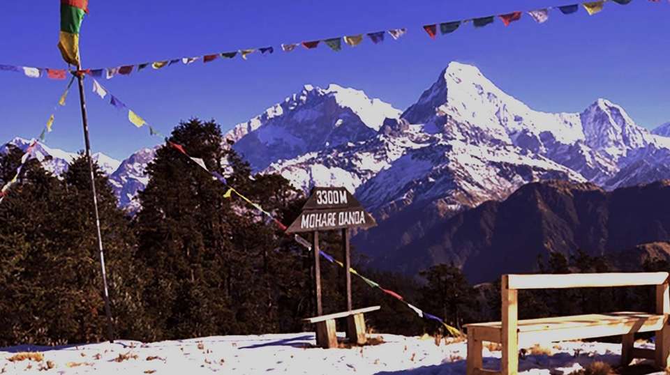 Mohare Danda Trek - Sherpa Expedition And Trekking Pvt. Ltd - Nepal - Image 4