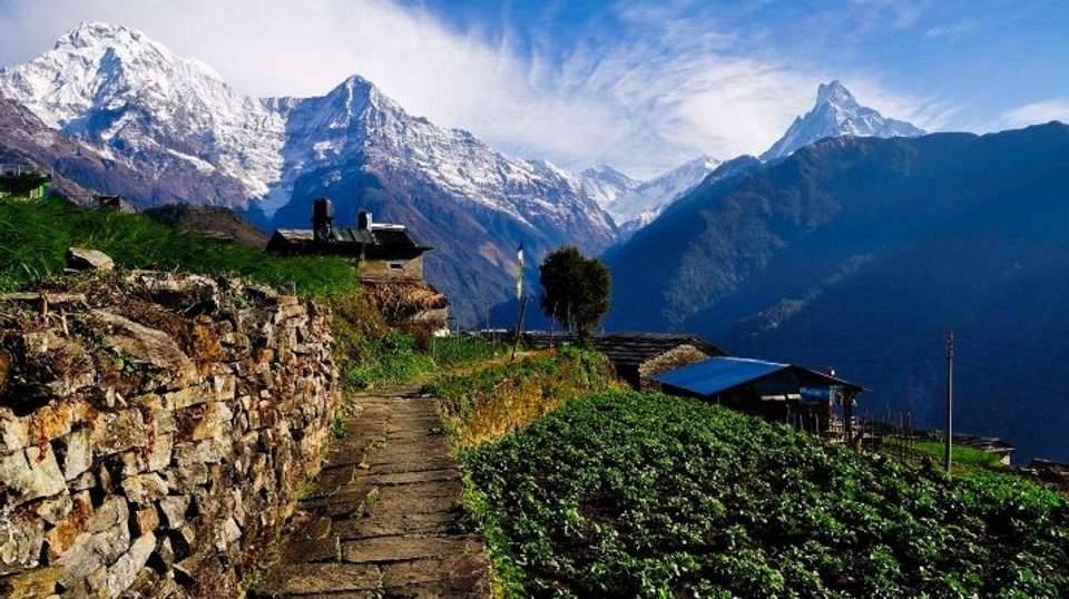 Mohare Danda Trek - Sherpa Expedition And Trekking Pvt. Ltd - Nepal - Image 6