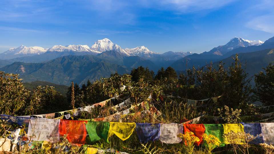 Mohare Danda Trek: Return via Poon Hill - Outshine Adventure Pvt Ltd - Nepal - Image 3