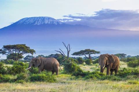 Kenya Travel Deals: Mombasa Rendezvous (on Request)