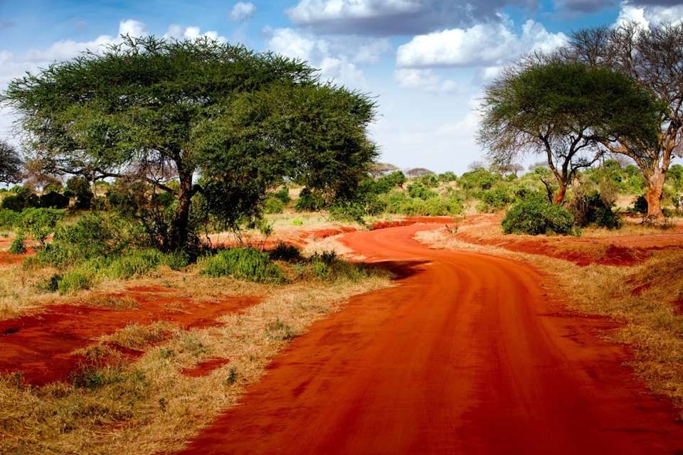 Mombasa Rendezvous (on Request) - Destination Services - Kenya