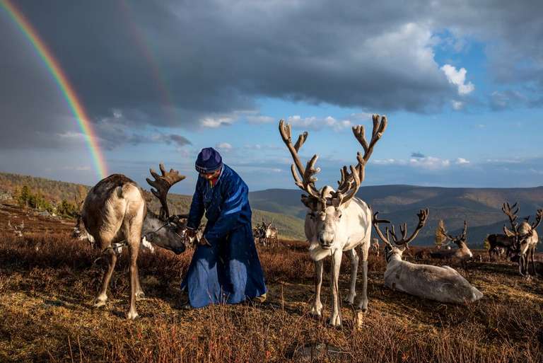 Mongolia Adventure Tour: Mongolia Expedition: Reindeer Herders
