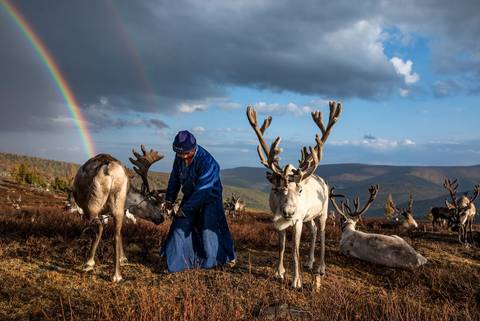 Mongolia Expedition: Reindeer Herders - September 2026