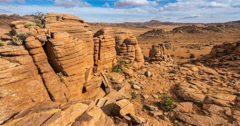 Mongolia Experienced Travelers Trips: Mongolia Explorer