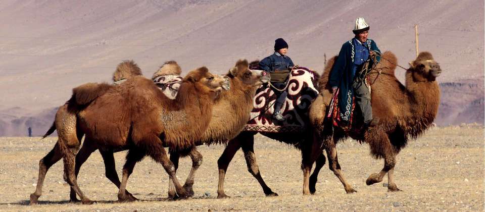 Mongolian Tavan Bogd Trek - World Expeditions - Mongolia - Image 5
