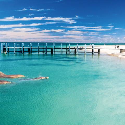 Australia Experienced Travelers Trips: Monkey Mia Dolphins And West Coast
