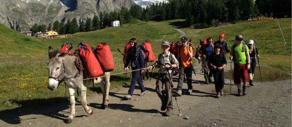 Mont Blanc Family Guided Hike from France - Utracks - France - Image 4