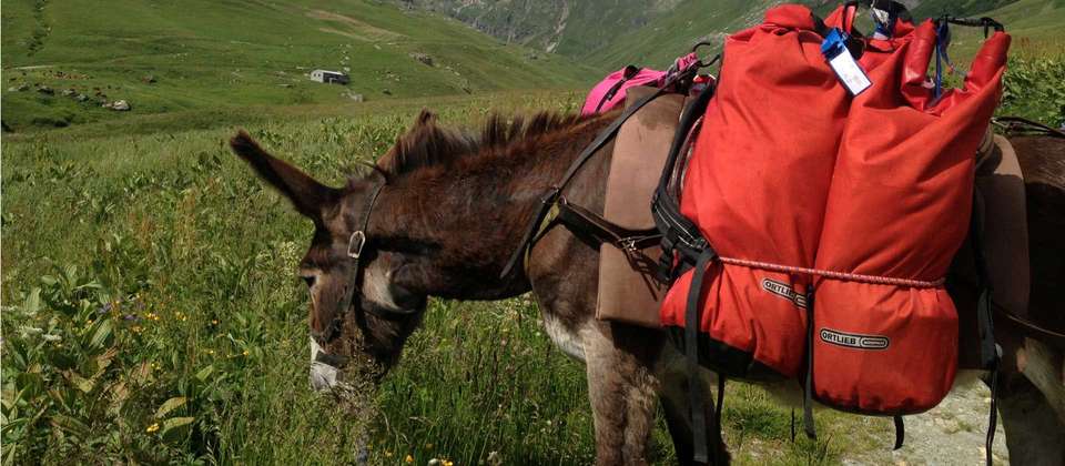 Mont Blanc Family Guided Hike from France - Utracks - France - Image 9