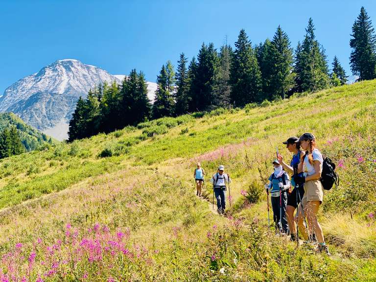 Mont Blanc Family Hiking Adventure trip - alternative tour available