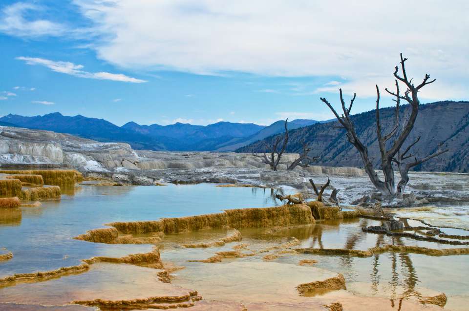 Montana: Exploring Big Sky Country featuring Yellowstone & Glacier National Parks - Collette Tours - USA - Image 5