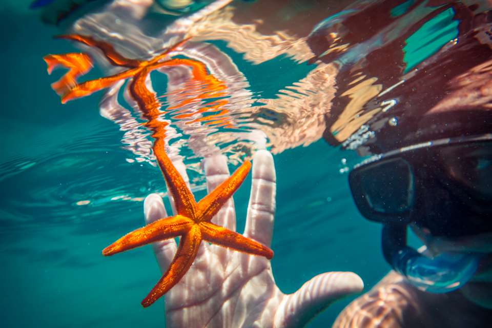 Montenegro Sailing - Dubrovnik to Dubrovnik - G Adventures - Croatia - Image 18