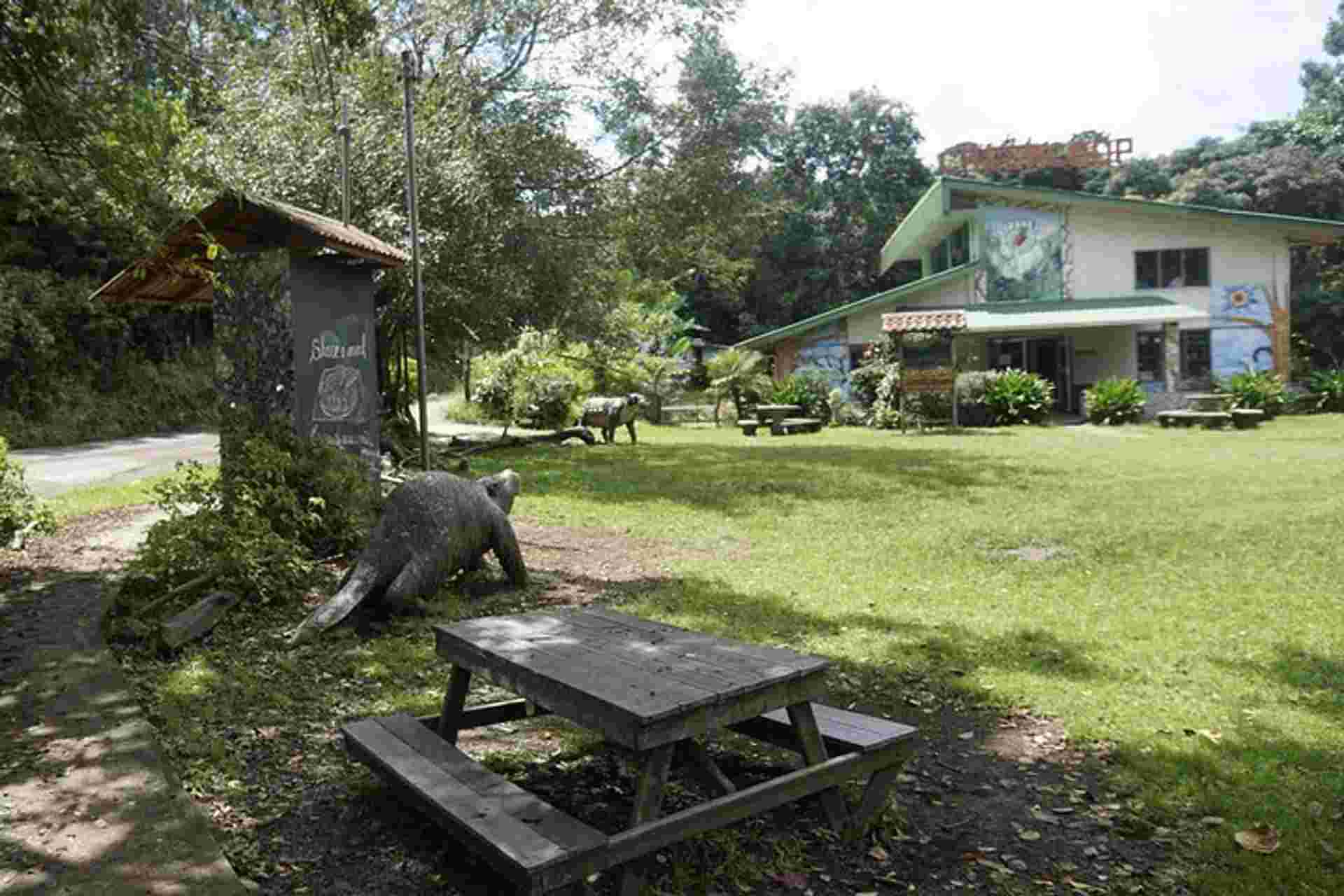 Monteverde Local Experience Guided Tour From Monteverde