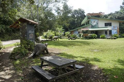 Costa Rica Bus Tour: Monteverde Local Experience Guided Tour From Monteverde