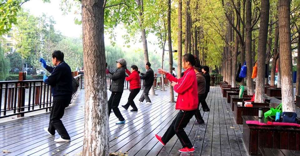 Morning Park & Tea Market Tour - Shanghai Pathways - China - Image 1