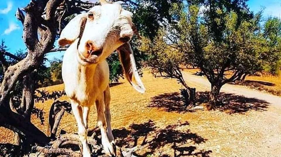 Moroccan Adventure - Sirius Adventures - Morocco