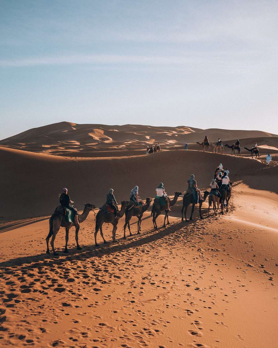 Moroccan Dream (4 Star Hotels) - Travel Talk - Morocco - Image 15