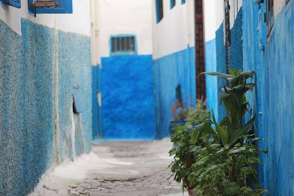Morocco 5-day Tour From Málaga With Accommodation (c-550) - Vpt Tours - Morocco - Image 9