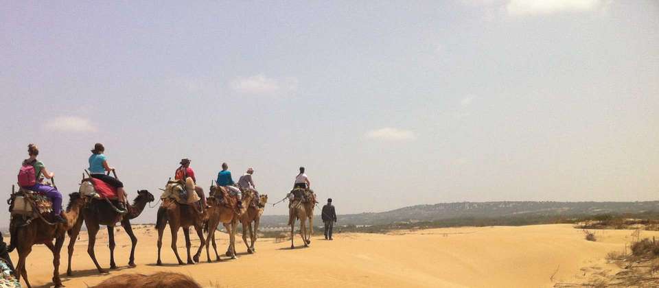 Morocco Adventure - World Expeditions - Morocco - Image 3