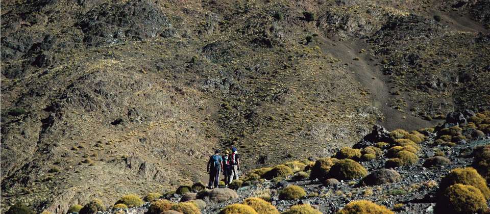 Morocco Adventure - World Expeditions - Morocco - Image 5