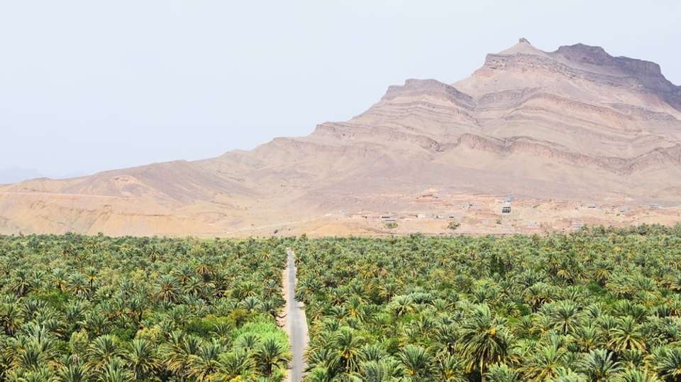 Morocco Encompassed - Sirius Adventures - Morocco