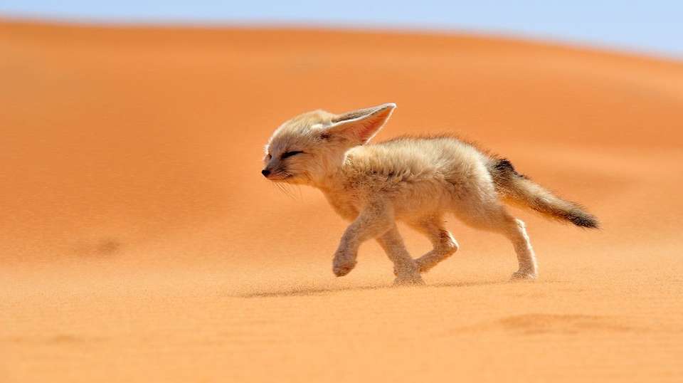 Morocco Encompassed - Sirius Adventures - Morocco