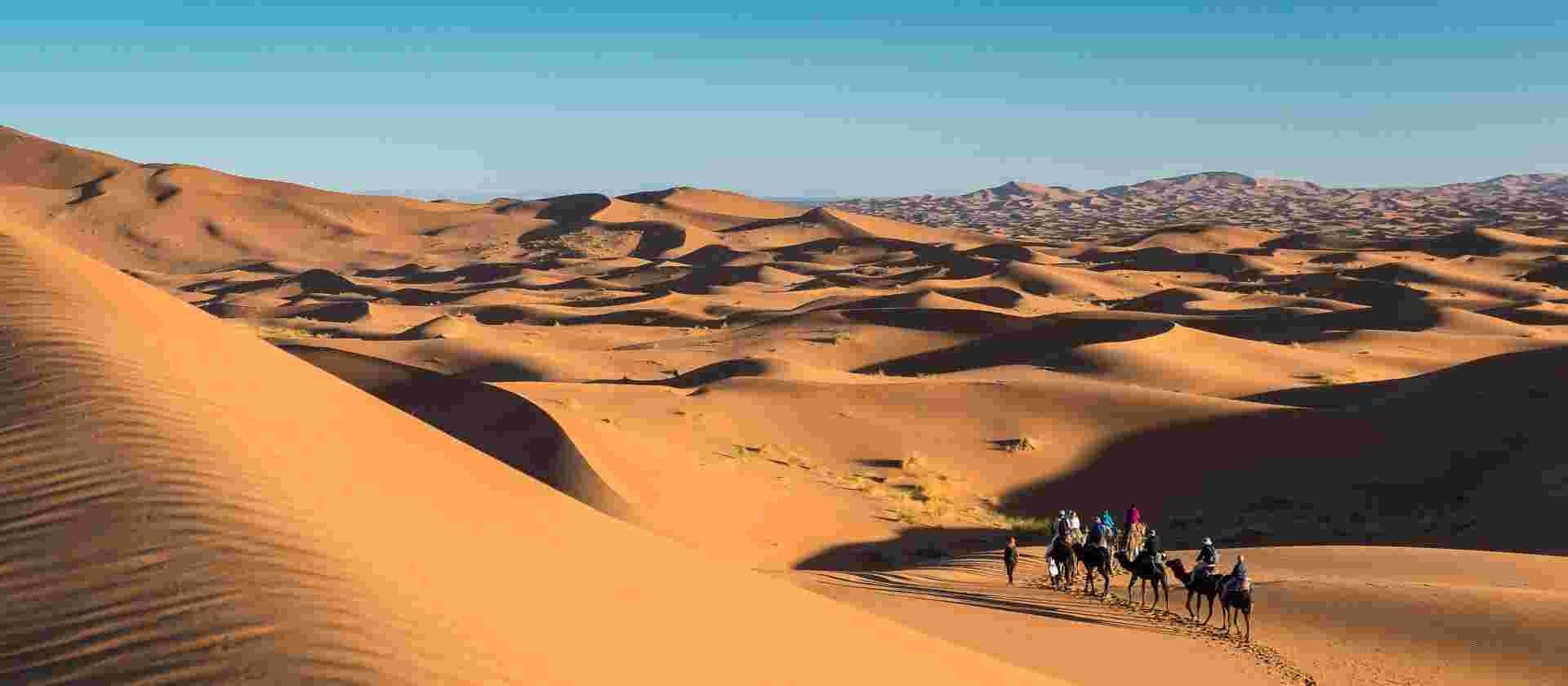 Morocco Explorer
