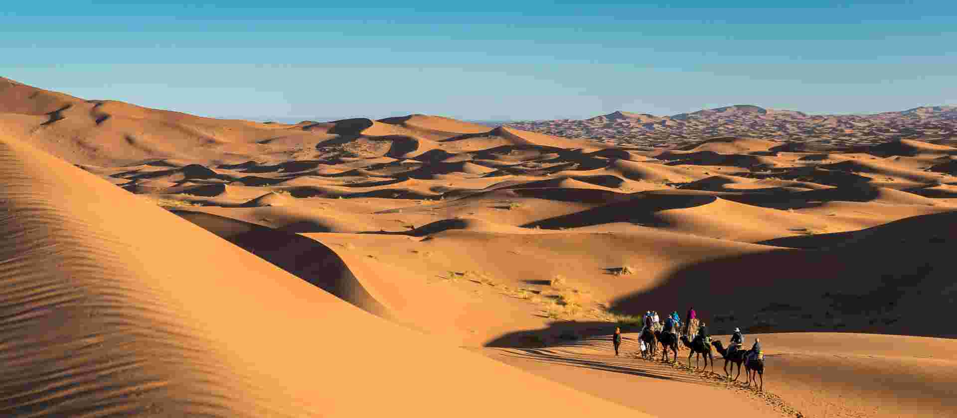 Morocco Explorer