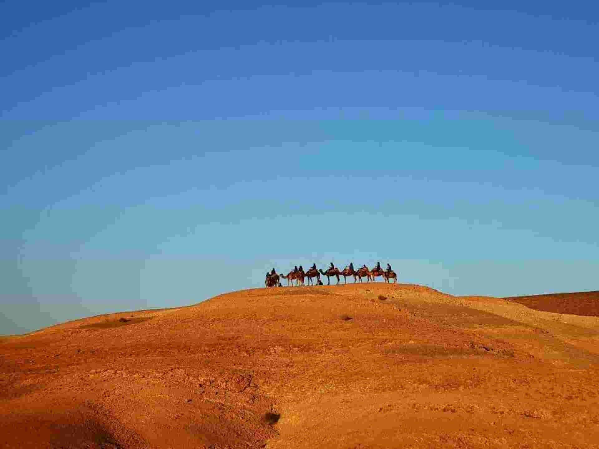 Morocco Express