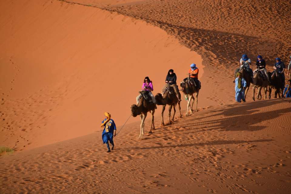 Morocco Family Adventure: From Casablanca to the Sahara - Bamba - Morocco - Image 3