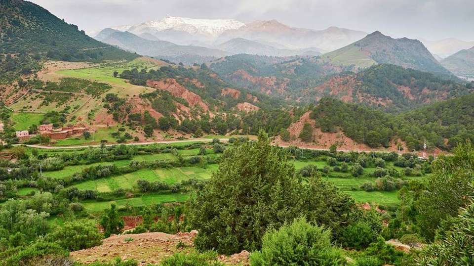 Morocco Luxury Tour – North to south - Desertbrise Travel - Morocco - Image 7