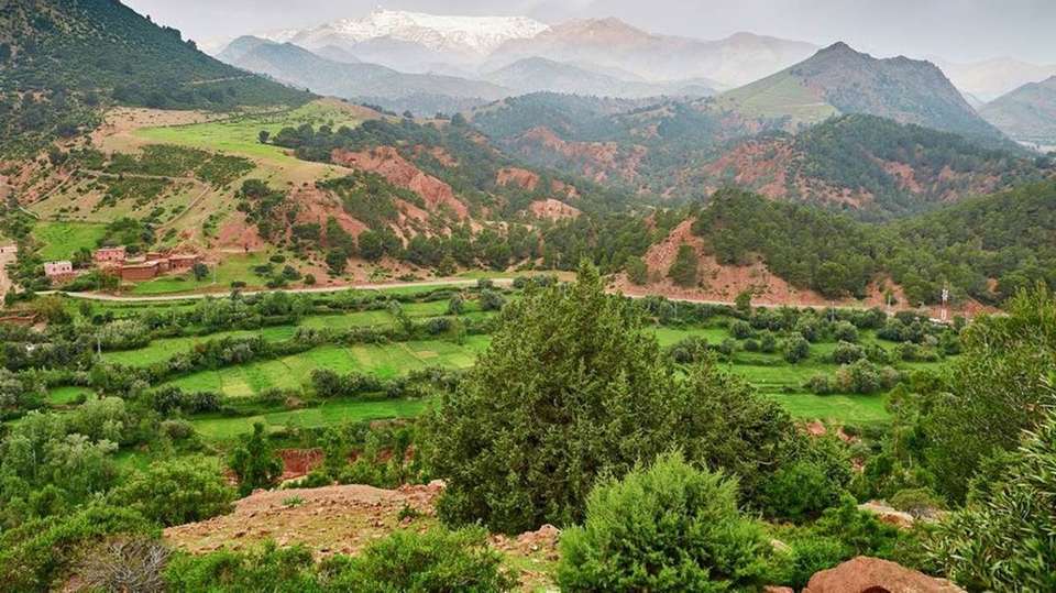 Morocco Luxury Tour: Premium Hotels and Great adventure - Desertbrise Travel - Morocco - Image 8