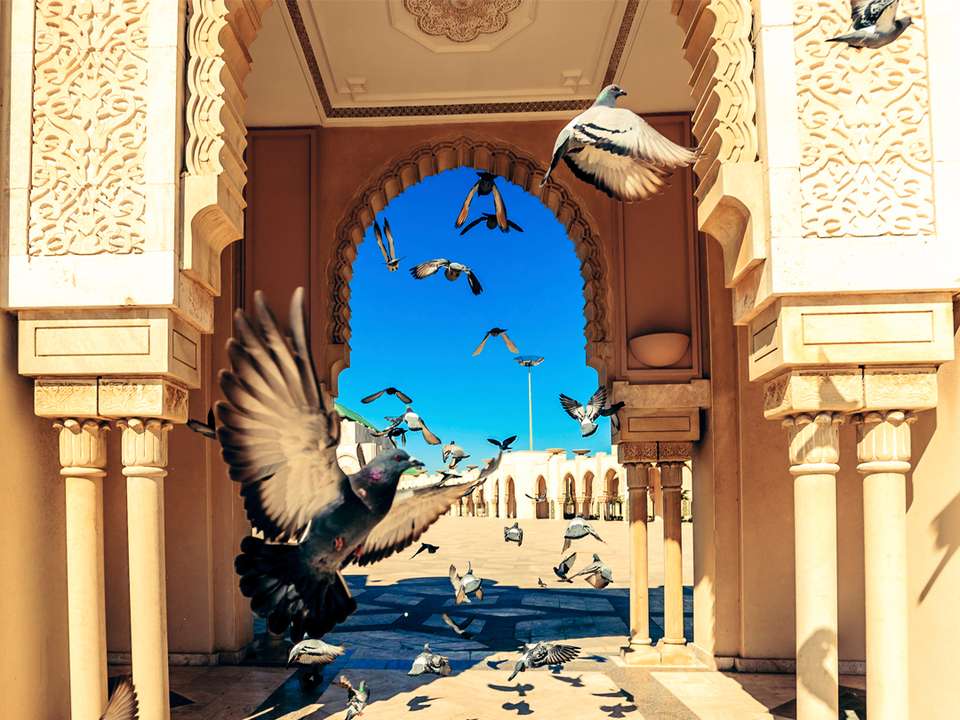 Morocco: Markets & Mountains - G Adventures - Morocco