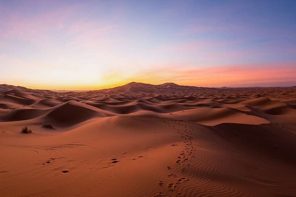 Morocco Short Break: Marrakech to the Sahara - Intrepid Travel - Morocco - Image 8