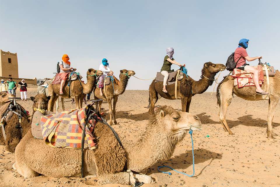 Morocco Uncovered - Intrepid Travel - Morocco - Image 5