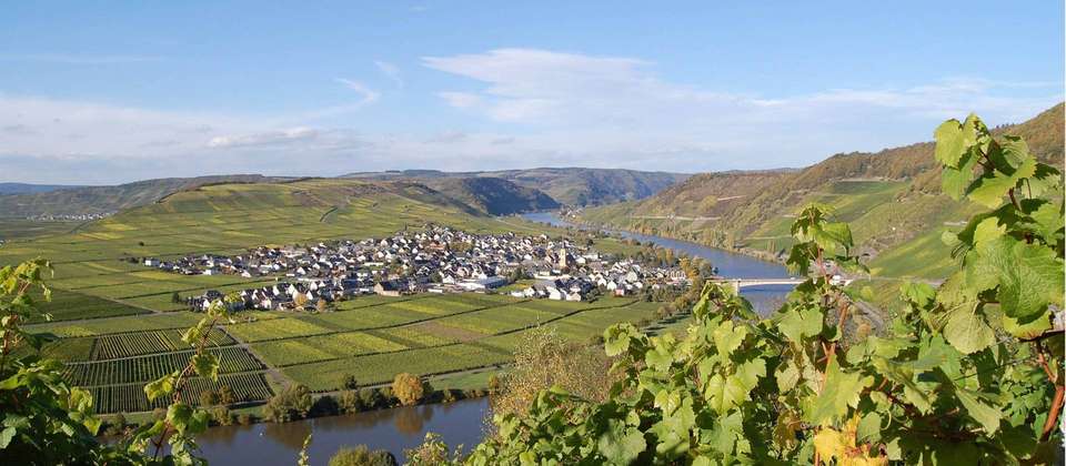 Moselle Bike & Barge - Utracks - Germany