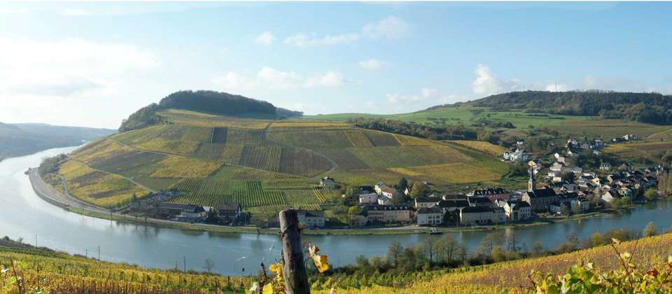Moselle Bike & Barge - Utracks - Germany - Image 3