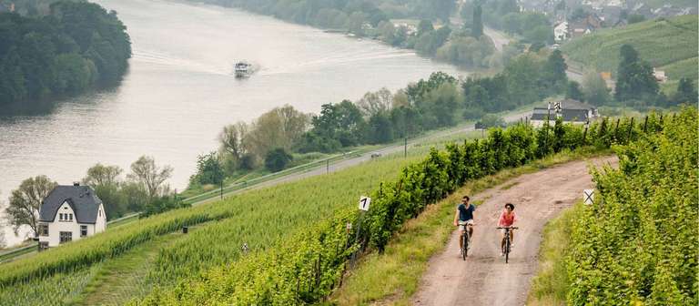 Moselle Bike Path trip - alternative tour available