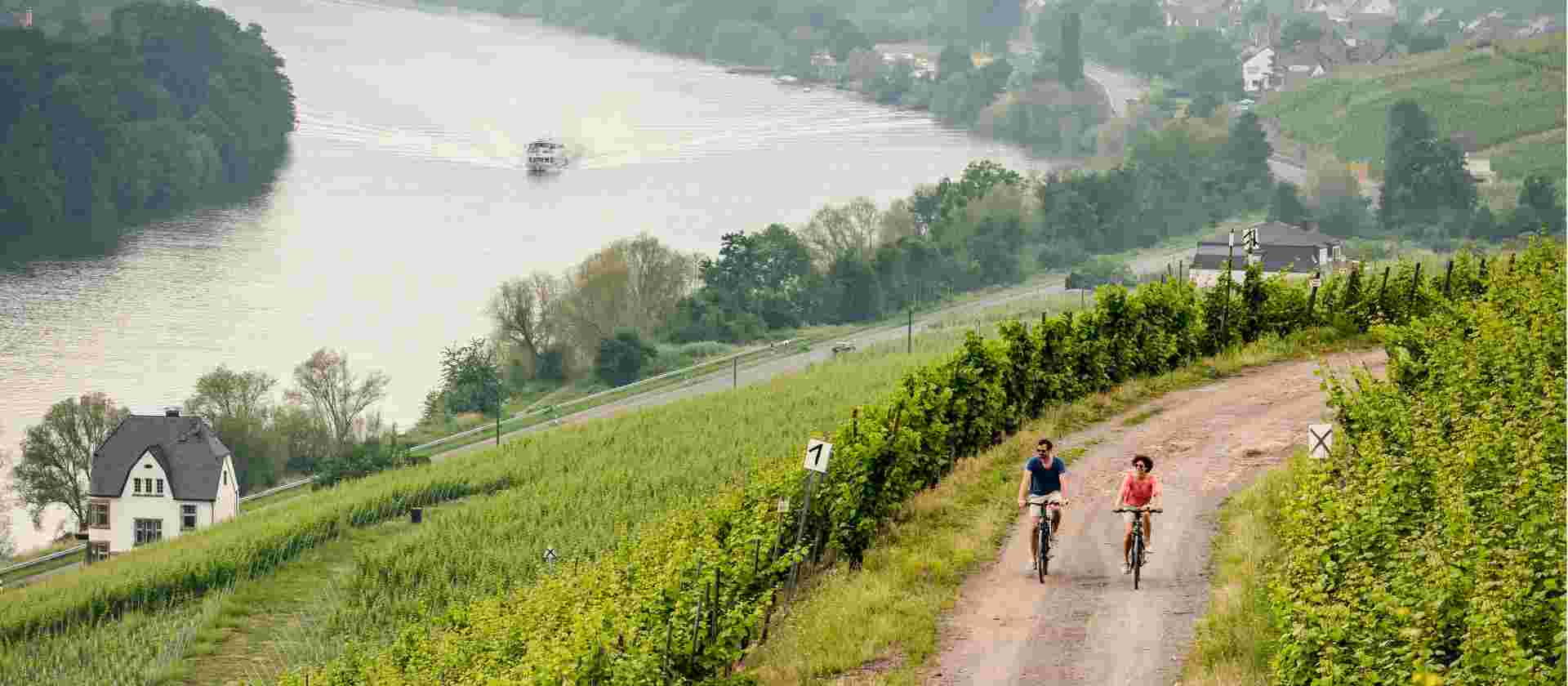 Moselle Bike Path Cycle: Trier to Koblenz