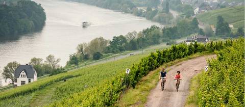 Adventure And Sport Tour: Moselle Bike Path Cycle: Trier To Koblenz