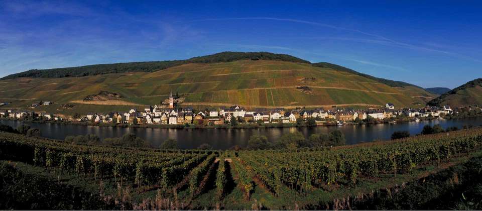 Moselle Bike Path Cycle: Trier to Koblenz - Utracks - Germany - Image 4
