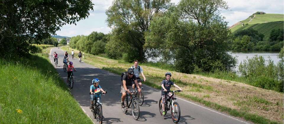 Moselle Bike Path Cycle: Trier to Koblenz - Utracks - Germany - Image 6